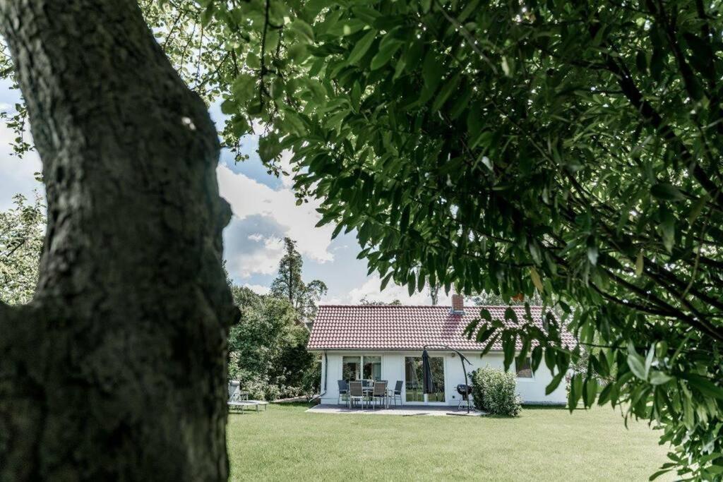 Hohwaii Cottage Hohwacht  Kültér fotó